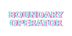 Boundary Operator Merch - Home